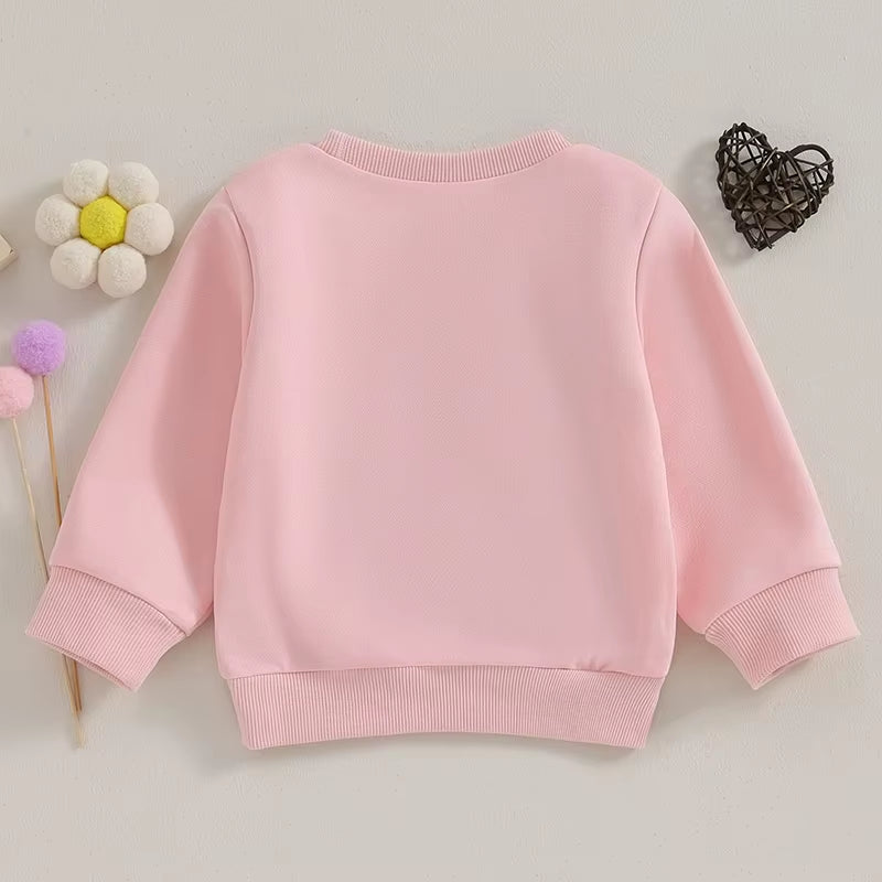 Toddler Baby Girl Matching Clothes Big Sister Sweatshirt Oversized Sweater Little Sister Fall Spring Outfits